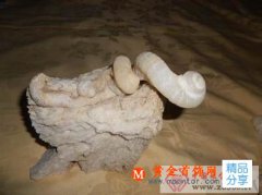 
	螺化玉是什么
