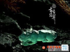 
	什么是龍石種翡翠

