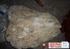 
	河磨玉鑒別方法及價格
