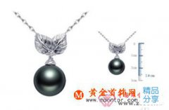 黑珍珠怎么保養