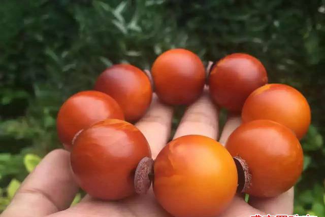 什么是老蜜蠟，老蜜蠟和新蜜蠟的區別又在哪里？