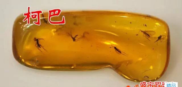 柯巴樹脂與蜜蠟的區別，知道這幾點就沒什么難的了！