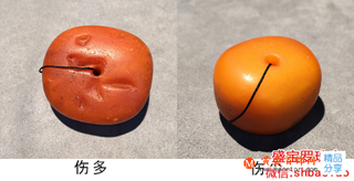 行家帶你了解波羅的海老蜜蠟價格，新手必看！