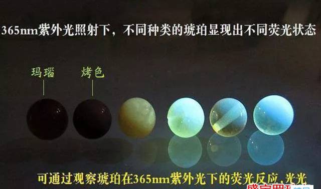 紫光燈鑒定琥珀，你確定你真的會用嗎？