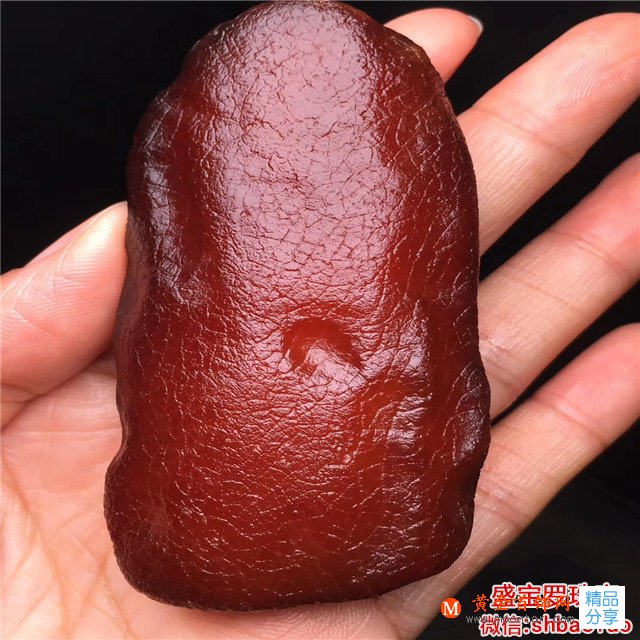 2019最新蜜蠟牌子圖片賞析！