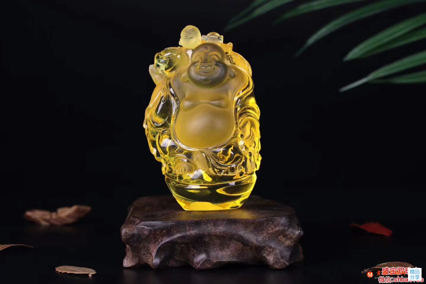 金珀一克價格