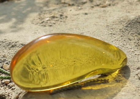 金珀的價格，你真的都了解嗎？