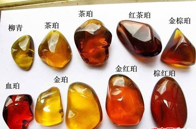 緬甸琥珀知識，世界上最古老的琥珀了解下？