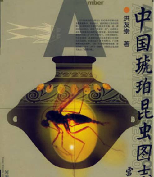 沒想到琥珀的科學研究價值已經發展到了這一步！