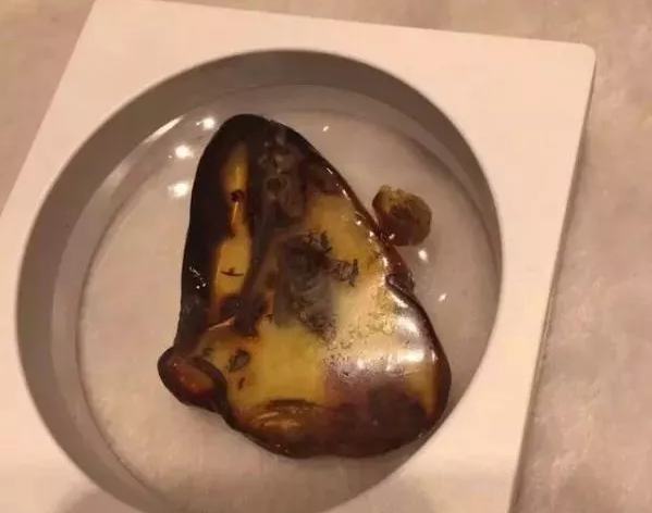 蟲珀的價格都是天價嗎？什么樣的蟲珀最有價值？