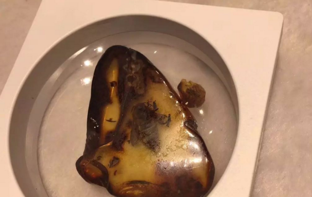 天價琥蟲珀，蟲珀價格為何這么貴？