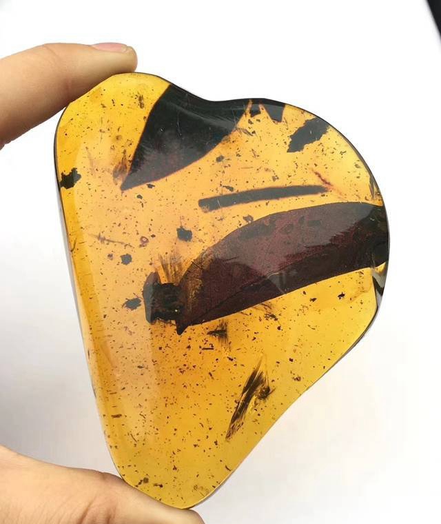 帶蟲琥珀的價錢