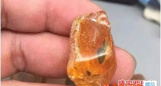 帶蟲的琥珀石價格