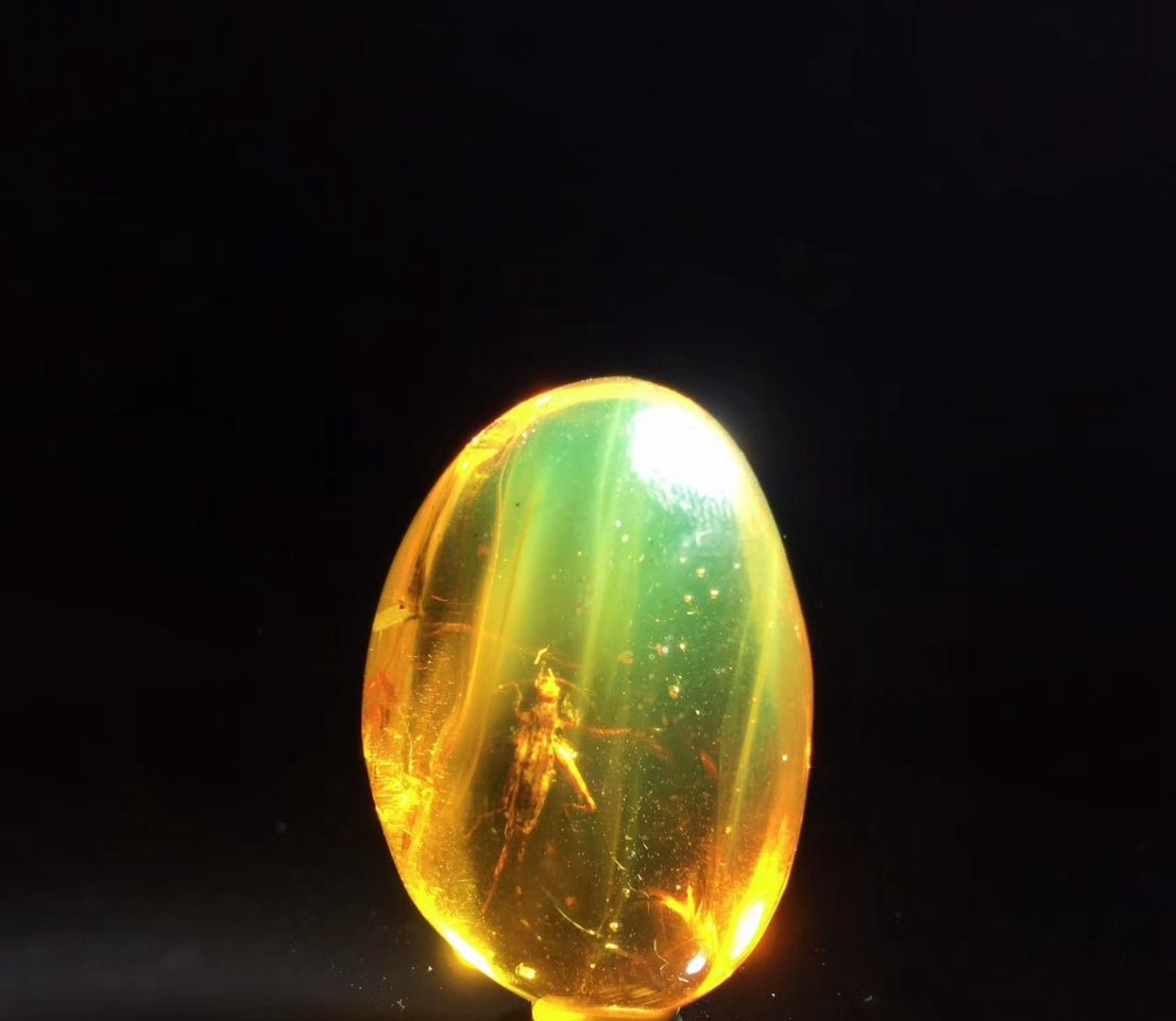 藍琥珀蟲珀什么價格