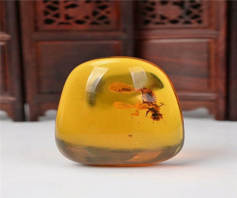 琥珀昆蟲的價格，并非都那么高？