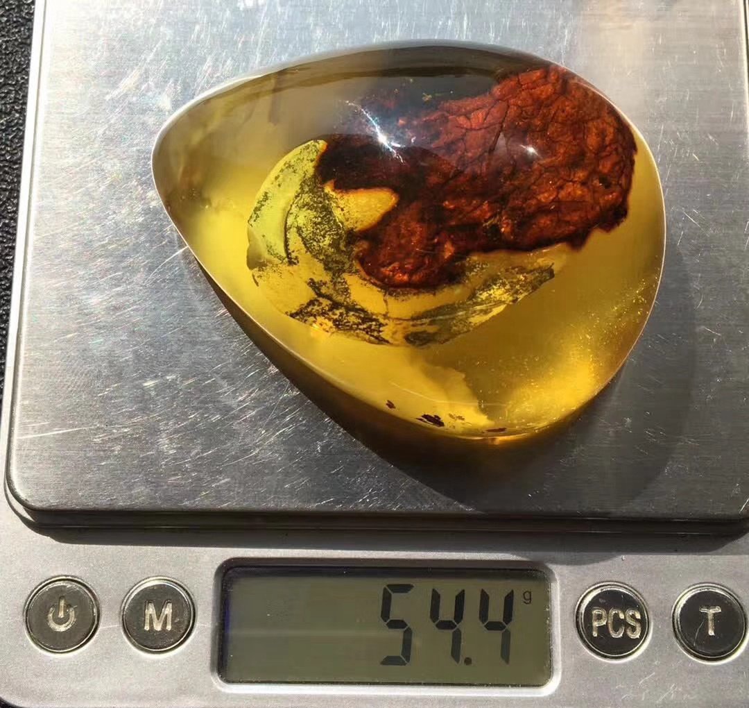 了解天然蟲琥珀價格，這些誤區我們得躲開！