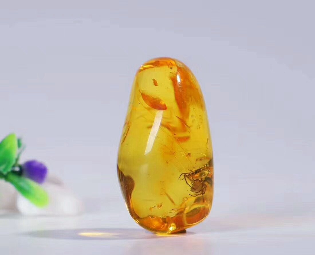 帶蟲子的琥珀價格，要如何判斷？