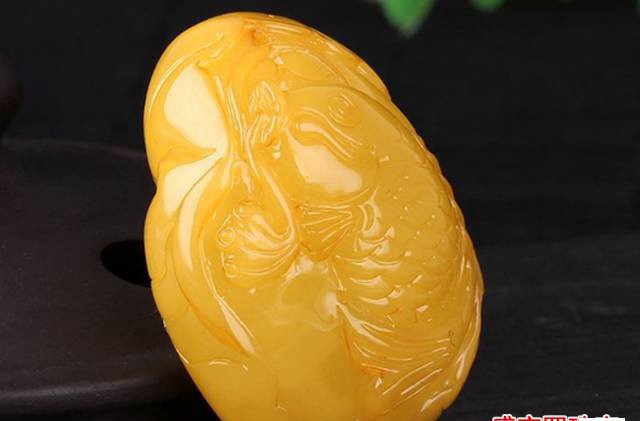 琥珀的形成需要哪些條件，這五點缺一不可！