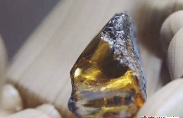 琥珀是石頭嗎，答：它可不是一般的石頭！