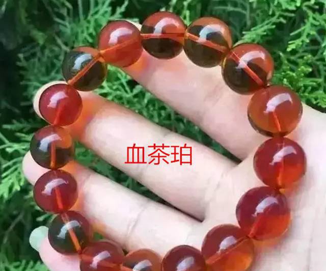 血珀好還是血茶好，看完你又會作何選擇！
