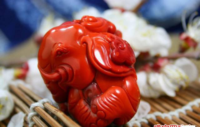錦紅南紅固然好，但也不是隨便能碰的