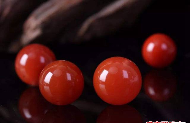 不想當小白任人宰割？先從認識南紅珠開始