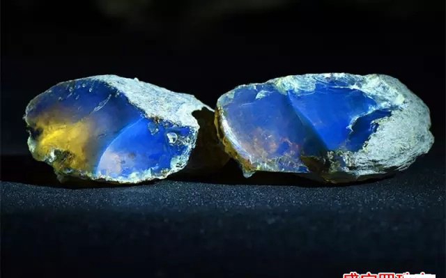 多米尼亞藍珀真的存在嗎，它與多米藍珀有何關系？
