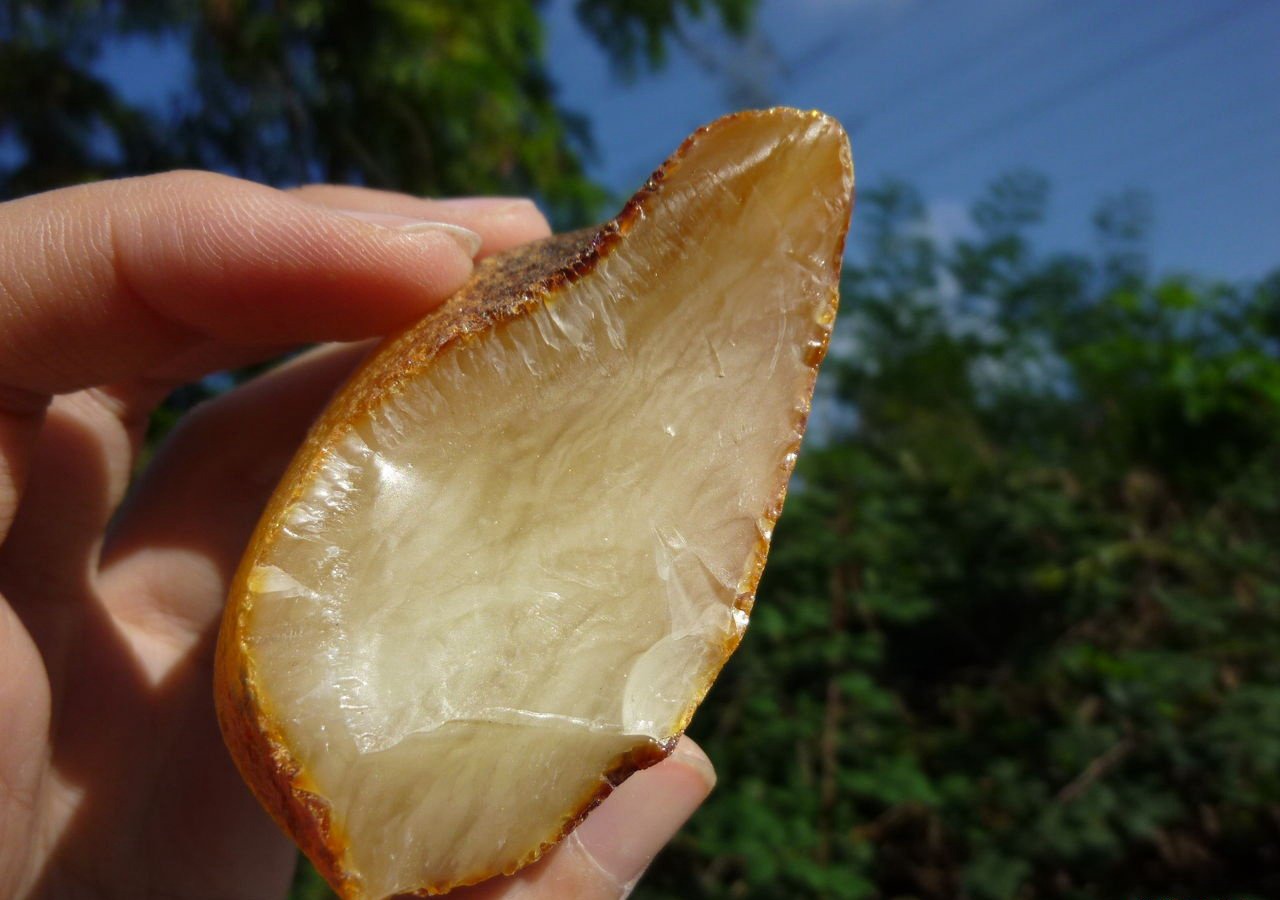 資深玩家揭秘：蜜蠟原石價格多少錢一克！