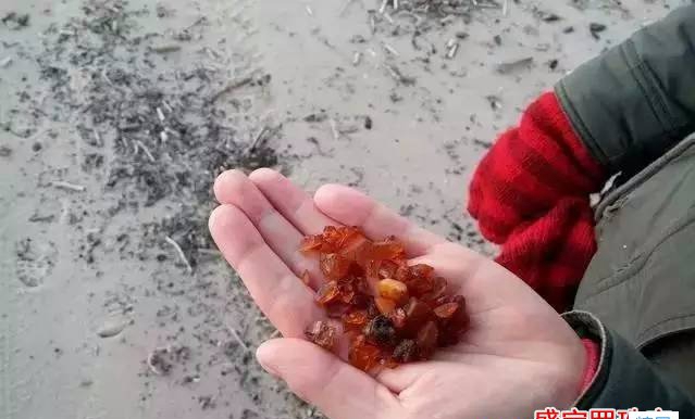 原石密臘多少錢一克，俄羅斯原石真的可以隨地撿嗎？