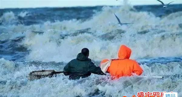 原石密臘多少錢一克，俄羅斯原石真的可以隨地撿嗎？