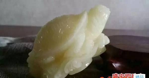 荔枝白蜜蠟價格