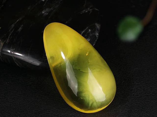 金絞蜜與老蜜蠟