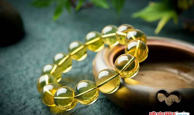 墨西哥藍珀克價