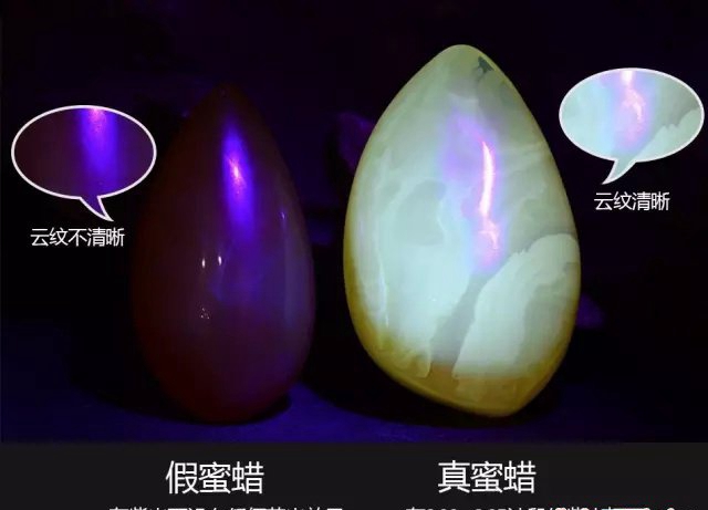 假的白花蜜蠟圖片，你有見過嗎？