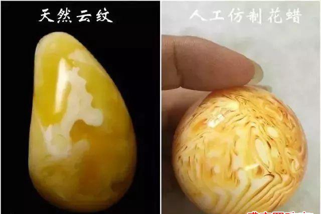 假的白花蜜蠟圖片，你有見過嗎？