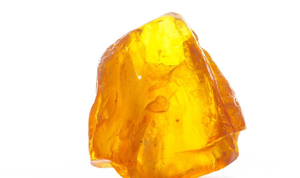 要想知道琥珀價格是多少，首先要了解琥珀到底是怎么來的？