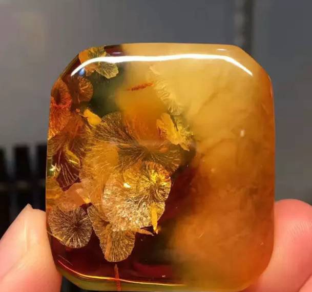 花琥珀價格多少錢一克，還有多少人認為花珀里面有真花！