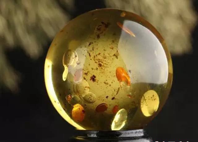 花珀的價錢，花珀里面并沒有真的花朵！