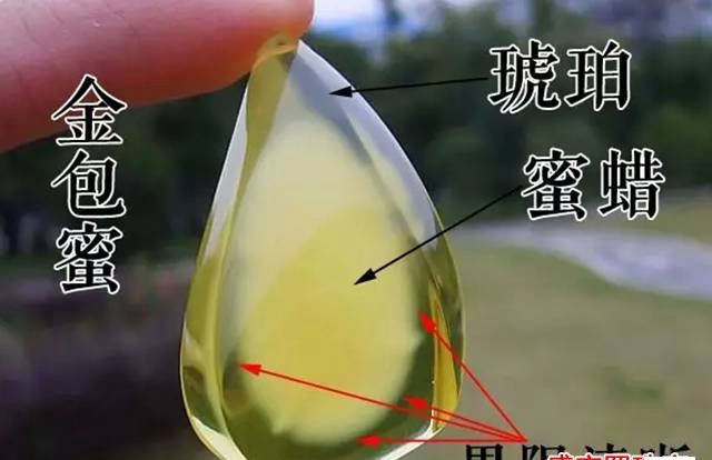 金包蜜蠟圖片，似雞蛋一般的新奇蜜蠟！