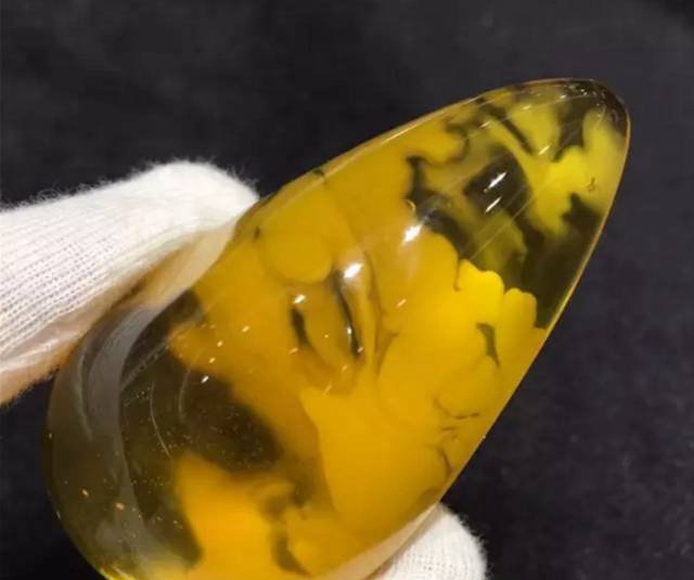 金絞瓷白蜜蠟，特立獨行的王者！