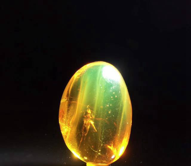 金絞蜜蠟內含包裹物應該怎么稱呼，蜜蠟OR蟲珀？