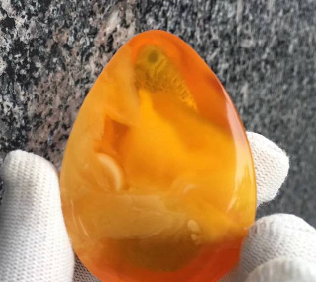 金絞蜜是蜜還是臘，這回一次性說清楚！