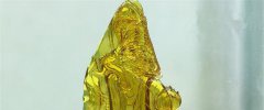 因為市場現狀來質疑金珀收藏價值，顯然是有失公允的！
