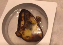 天價琥蟲珀，蟲珀價格為何這么貴？