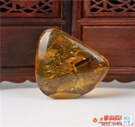頂級蟲琥珀原石的價位