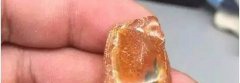 帶蟲的琥珀石價格