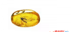 商家透漏：天然琥珀蟲珀價格多少錢一克？