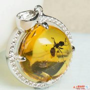 蟲琥珀什么價，原來蟲珀的價格是這么定的！