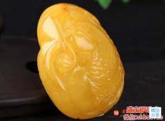 琥珀的形成需要哪些條件，這五點缺一不可！