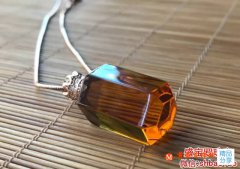 琥珀的形成條件，缺一都不可！